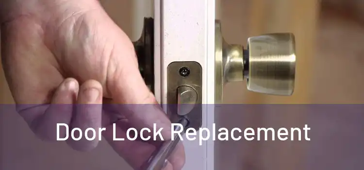  Door Lock Replacement 